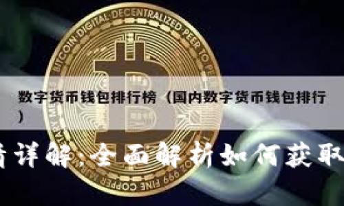 T P钱包的Token详情详解：全面解析如何获取及管理您的数字资产