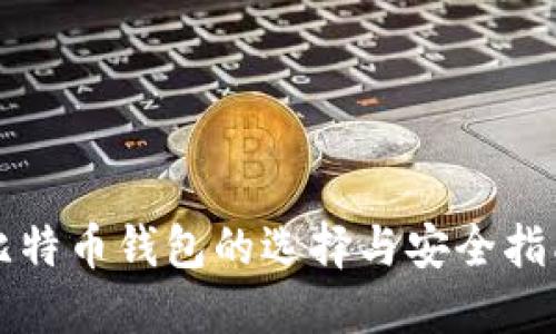 比特币钱包的选择与安全指南