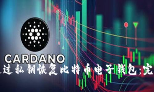 如何通过私钥恢复比特币电子钱包：完整指南