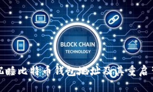 如何寻找沉睡比特币钱包地址及其重启背后的秘密