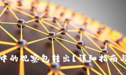 如何将TP钱包中的观察包转出？详细指南与常见问题解答