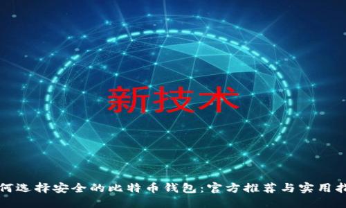 如何选择安全的比特币钱包：官方推荐与实用指南