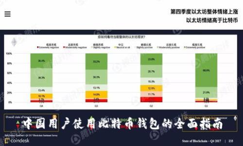 中国用户使用比特币钱包的全面指南