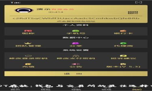 USDT存放：钱包与交易所的最佳选择分析