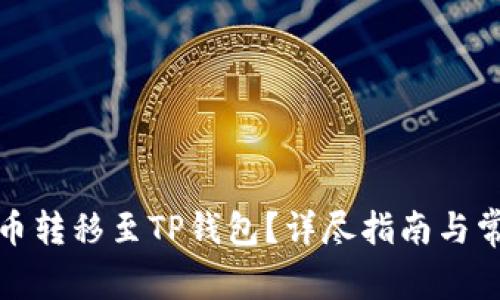如何将比特币转移至TP钱包？详尽指南与常见问题解答