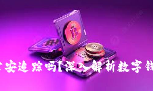 : t p钱包能被公安追踪吗？深入解析数字钱包的隐私与安全