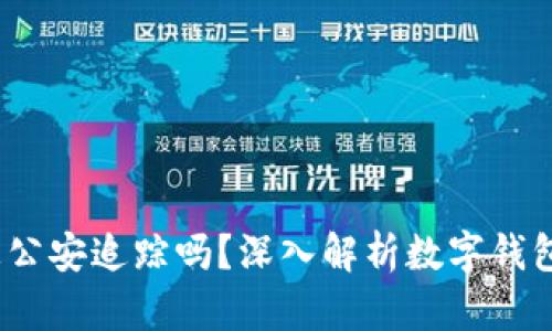 : t p钱包能被公安追踪吗？深入解析数字钱包的隐私与安全