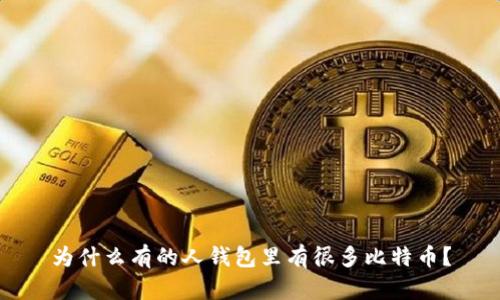 为什么有的人钱包里有很多比特币？
