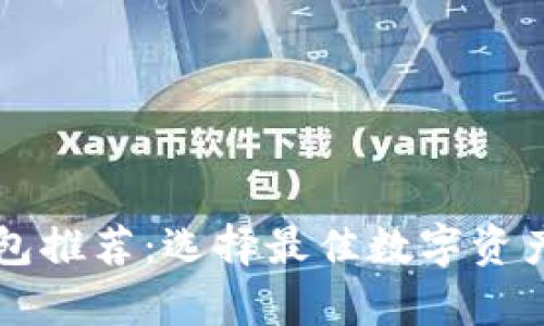 区块链交易钱包推荐:选择最佳数字资产存储解决方案