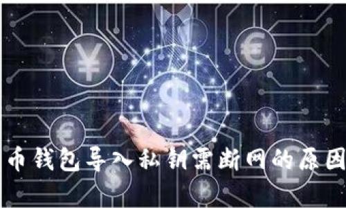 比特币钱包导入私钥需断网的原因解析