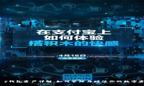  t p钱包资产详解：如何管理与增值你的数字资产