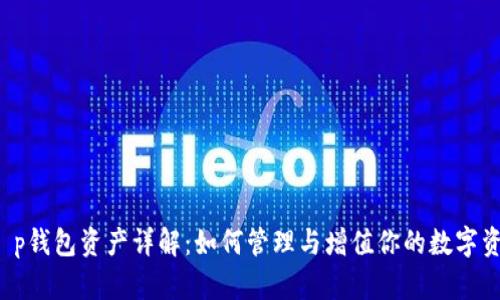  t p钱包资产详解：如何管理与增值你的数字资产
