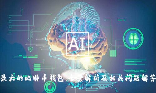 最大的比特币钱包：全景解析及相关问题解答