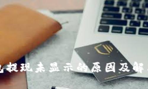 TP钱包提现未显示的原因及解决方法