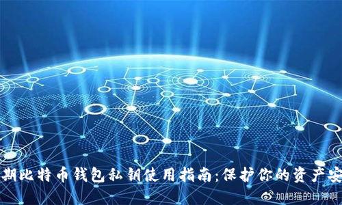 早期比特币钱包私钥使用指南：保护你的资产安全