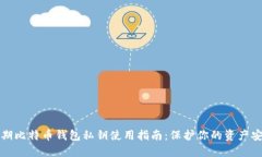 早期比特币钱包私钥使用指南：保护你的资产安