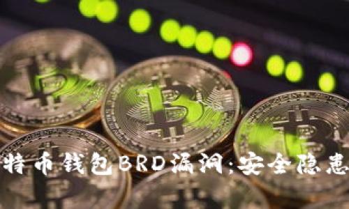 深入剖析比特币钱包BRD漏洞：安全隐患与防范措施