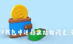 如何在TP钱包中进行波场链闪兑：详细指南